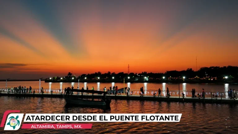 atardecer desde el puente flotante