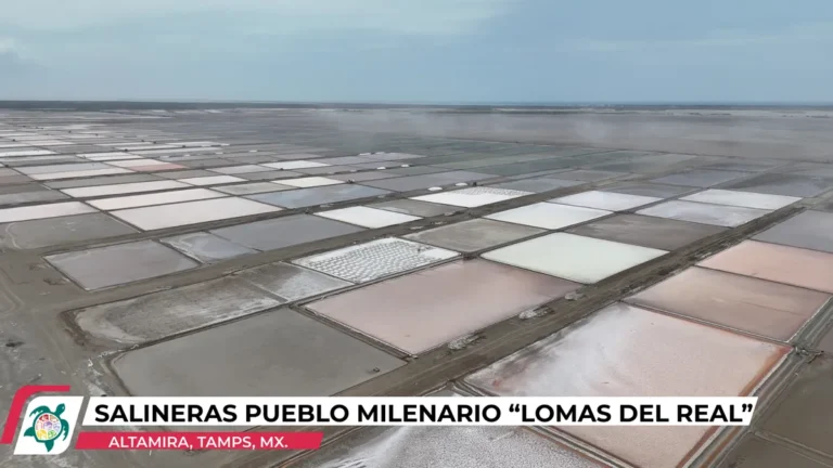 salineras pueblo milenario _lomas del real_