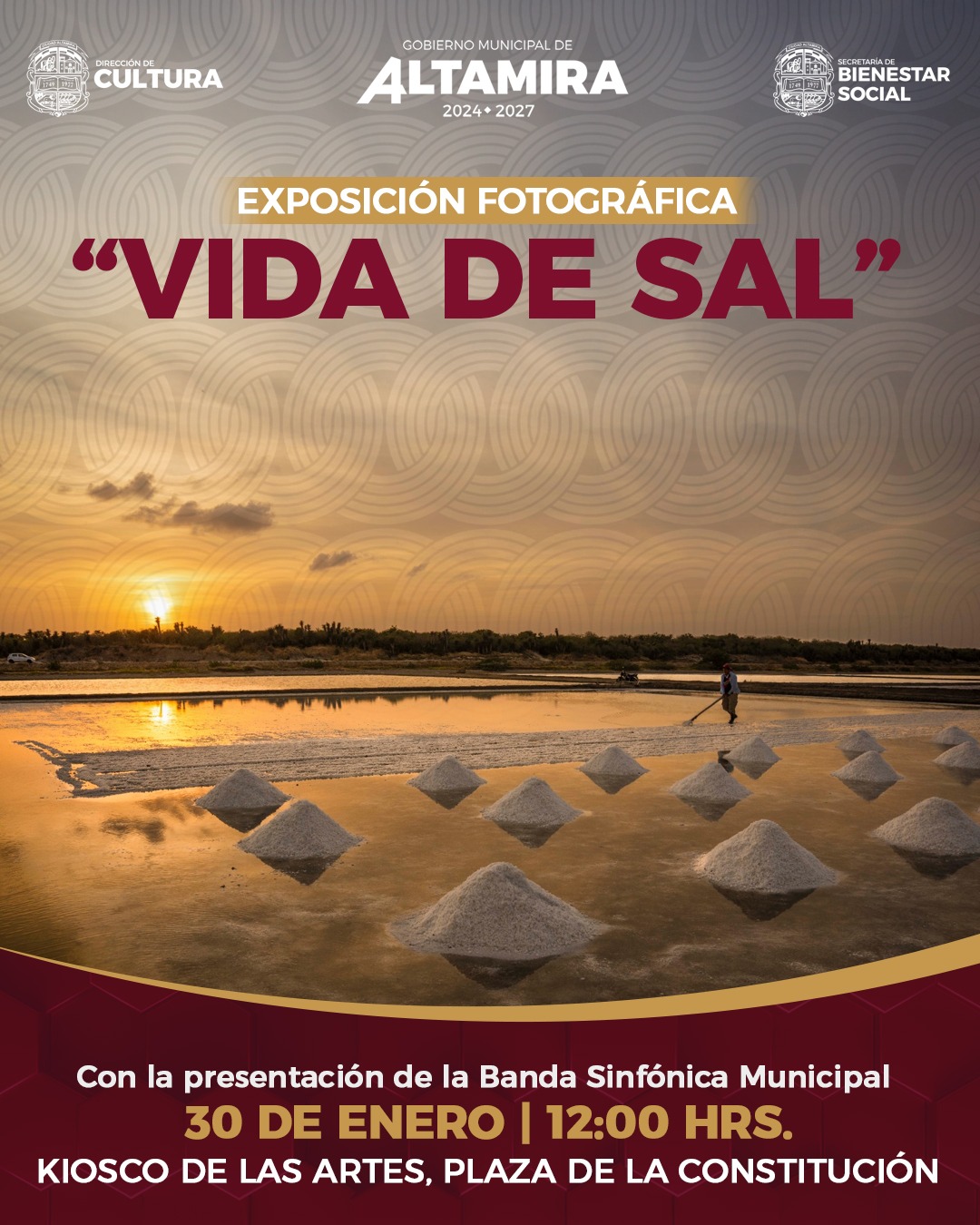 vida sal